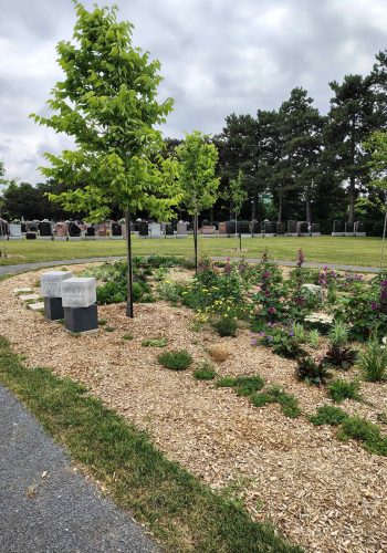 IMG_20250701_111000029_HDR_11zon