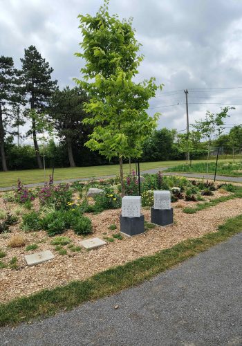 IMG_20250701_111028527_HDR_11zon